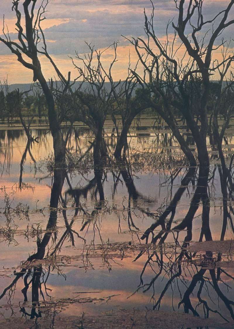Alligator River; DISPLAY FULL IMAGE.