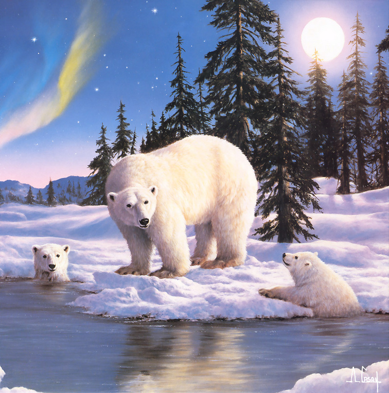 [Anthony Casay - 2001 Calendar] Polar Bears; DISPLAY FULL IMAGE.