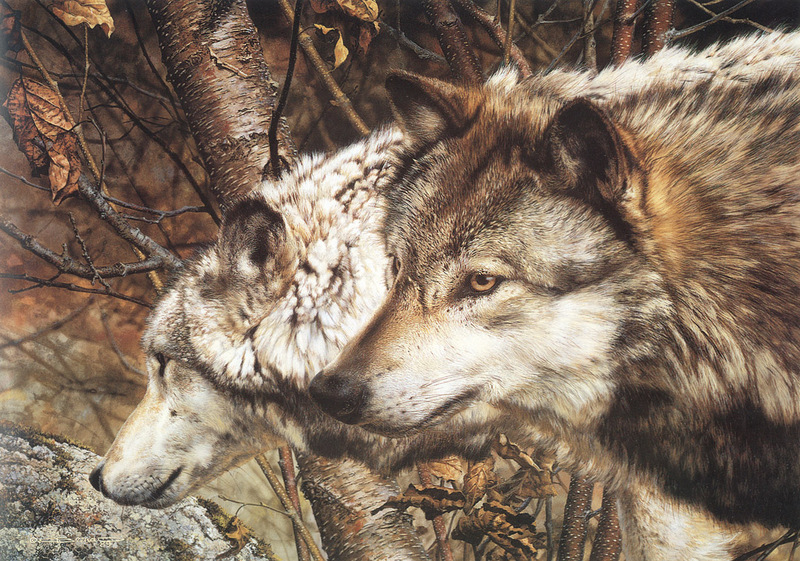 [Carl Brenders - Wildlife Paintings] The Companions (Gray Wolves); DISPLAY FULL IMAGE.