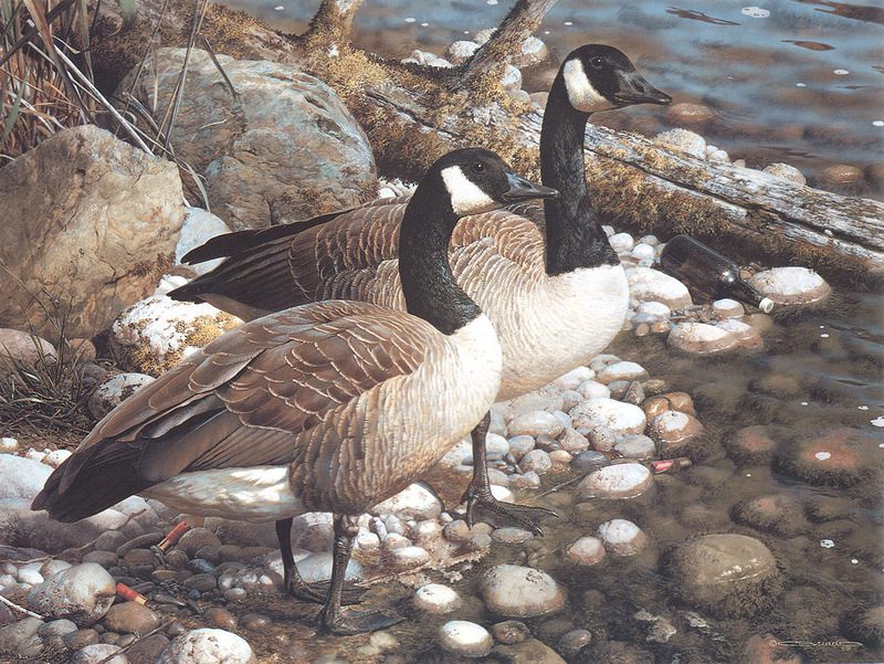 [Carl Brenders - Wildlife Paintings] The Survivors (Canda Geese); DISPLAY FULL IMAGE.