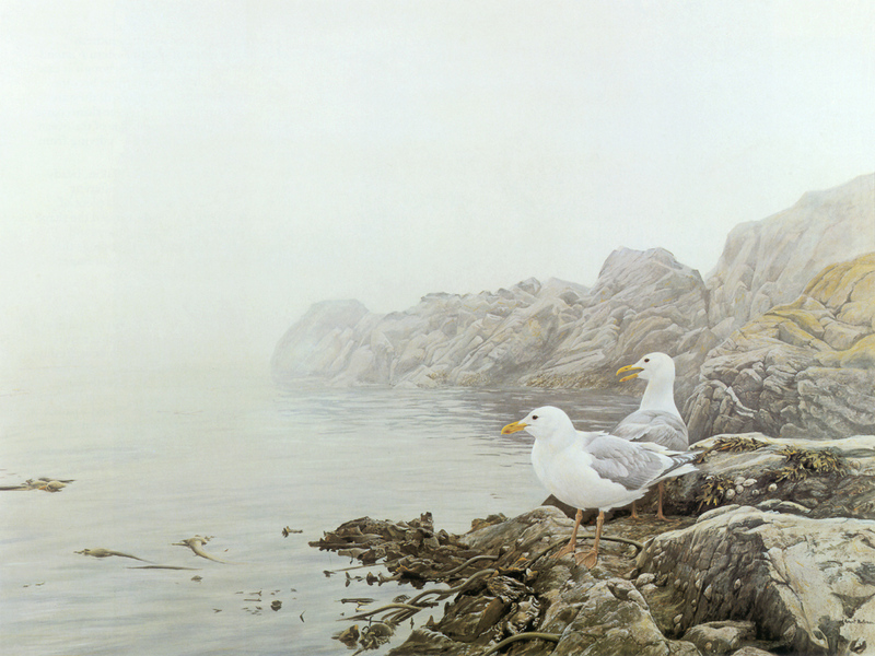 [Robert Bateman] Misty Coast (Gulls); DISPLAY FULL IMAGE.