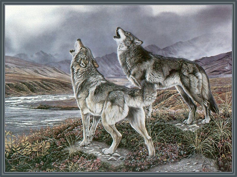 [CameoRose scan - Al Agnew] Gray Wolves; DISPLAY FULL IMAGE.
