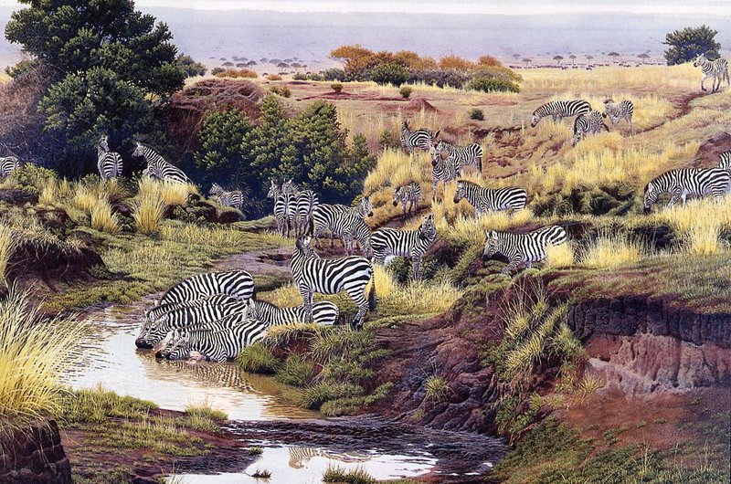 [EndLiss scans - Wildlife Art] Al Agnew - You Can Lead a Zebra; DISPLAY FULL IMAGE.