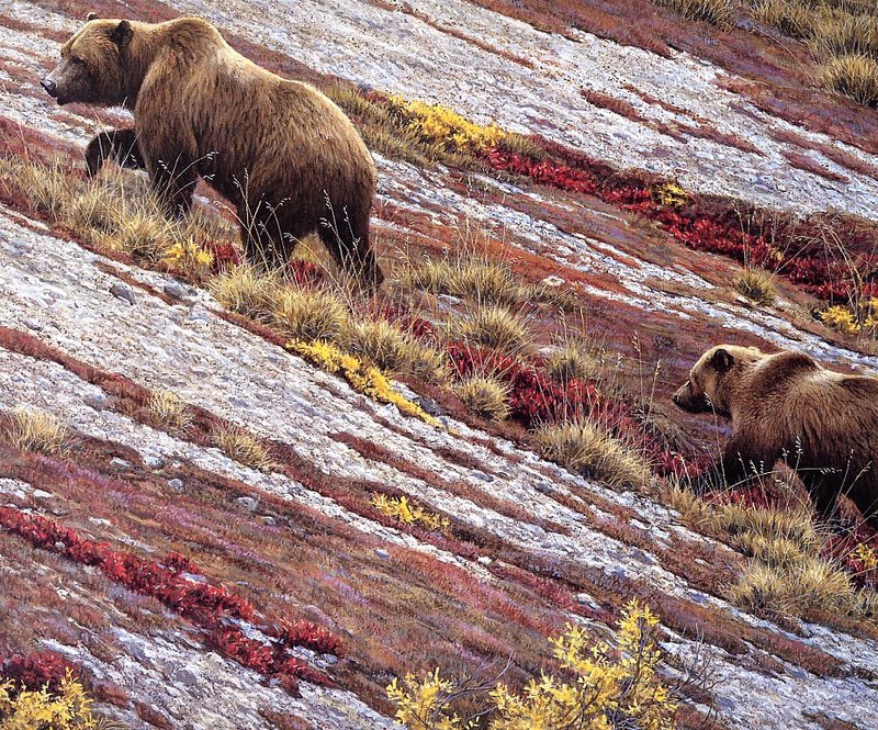 [EndLiss scans - Wildlife Art] Robert Bateman - Alaskan Autumn (Brown Bears); DISPLAY FULL IMAGE.