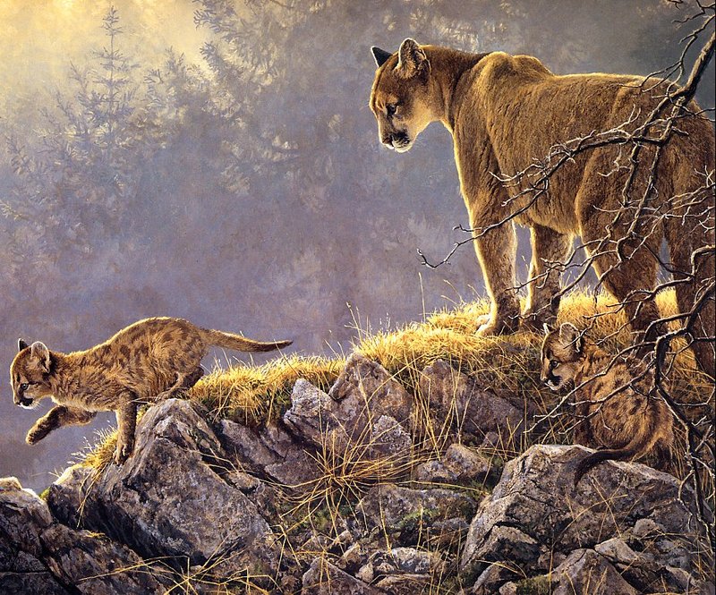 [EndLiss scans - Wildlife Art] Robert Bateman - Excursion - Cougar and Kits; DISPLAY FULL IMAGE.