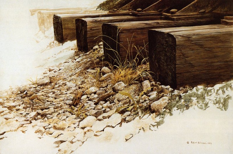 [EndLiss scans - Wildlife Art] Robert Bateman - Killdeer by the Tracks; DISPLAY FULL IMAGE.