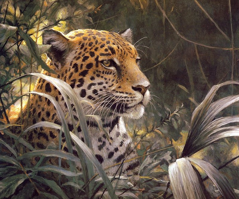 [EndLiss scans - Wildlife Art] Robert Bateman - Symbol of the Rainforest - Spotted Jaguar; DISPLAY FULL IMAGE.