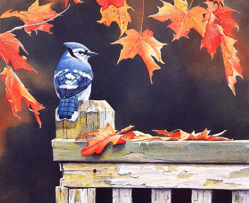 [EndLiss scans - Wildlife Art] Susan Bourdet - Autumn Splendor (Blue Jay); DISPLAY FULL IMAGE.