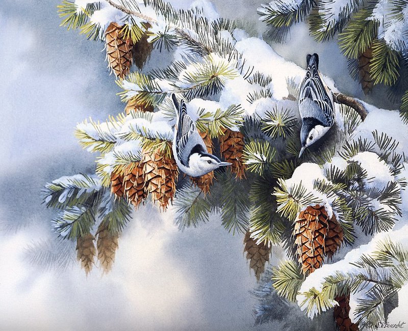 [EndLiss scans - Wildlife Art] Susan Bourdet - First Snowfall - Nuthatches; DISPLAY FULL IMAGE.