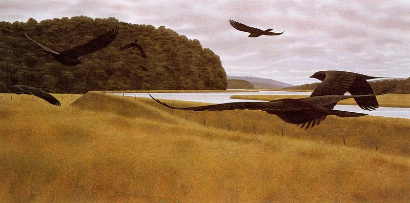 [EndLiss scans - Wildlife Art] Alex Colville - Seven Crows; DISPLAY FULL IMAGE.