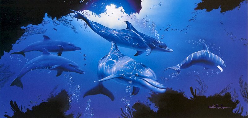 [EndLiss scans - Wildlife Art] Christian Riese Lassen - Five Dolphins; DISPLAY FULL IMAGE.
