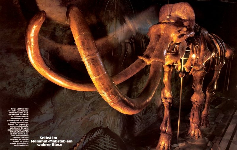 [achAT-scans] Myth Mammoth(1993); DISPLAY FULL IMAGE.
