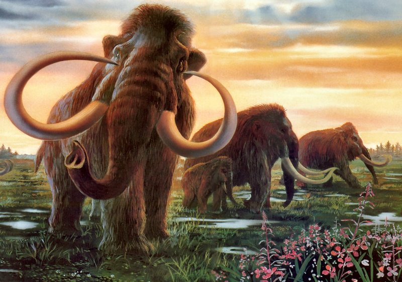 [achAT-scans] Myth Mammoth(1993); DISPLAY FULL IMAGE.