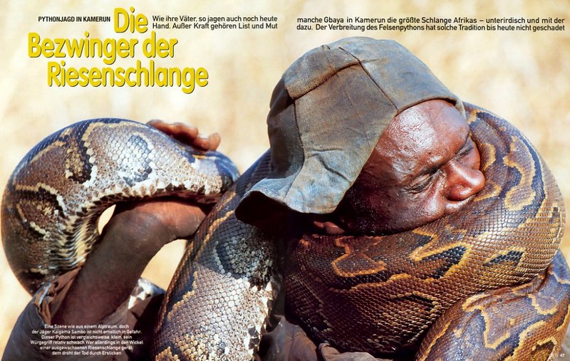 [achAT-scans] Chasing Pythons in Cameroon(1997); DISPLAY FULL IMAGE.