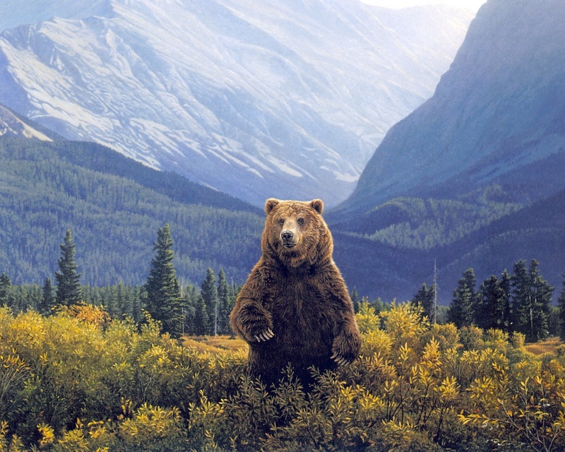 [Elon Animal Scans] Painted by Daniel Smith, A sFar As The Eye Can See (Brown Bear); DISPLAY FULL IMAGE.