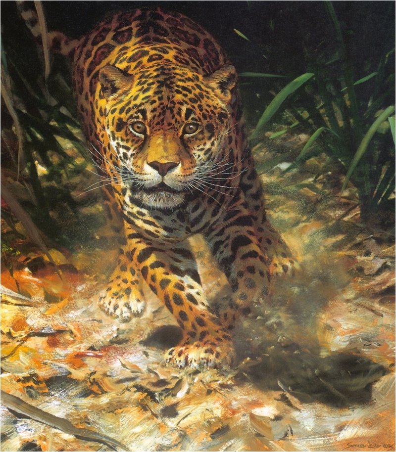[Elon Animal Scans] Painted by John Seerey-Lester, Into The Clearing (Jaguar); DISPLAY FULL IMAGE.