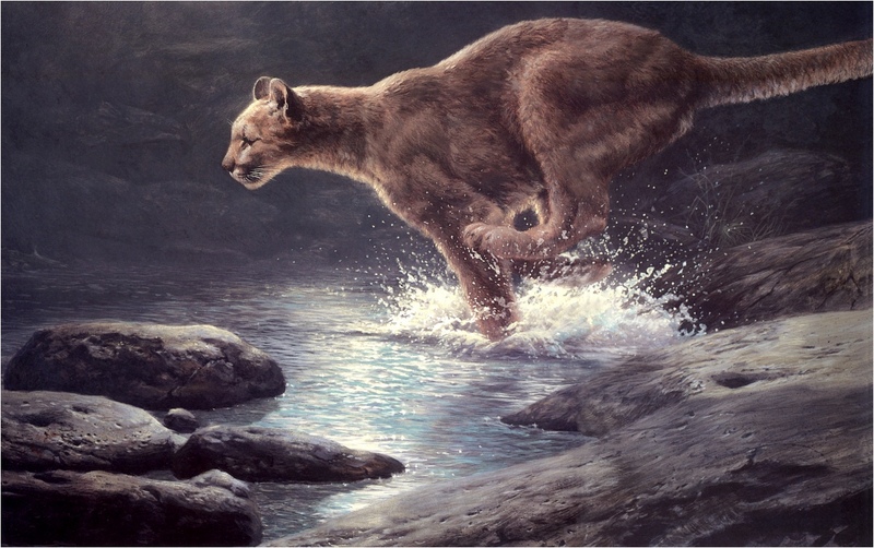 [Elon Animal Scans] Painted by John Seerey-Lester, Moonlight Chase (Jaguar); DISPLAY FULL IMAGE.