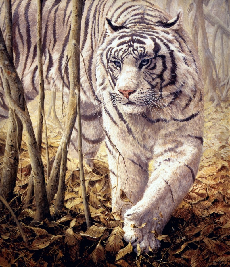 [Elon Animal Scans] Painted by John Seerey-Lester, Softly Softly, White Tiger; DISPLAY FULL IMAGE.