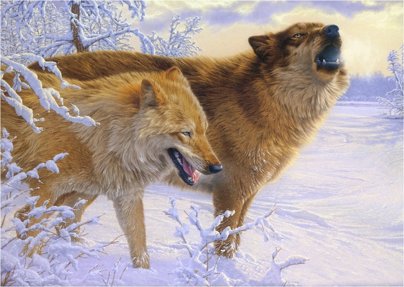 [Elon Animal Scans] Painted by Lee Kromschroeder, Where There's Smoke There's Fire (Wolves); DISPLAY FULL IMAGE.