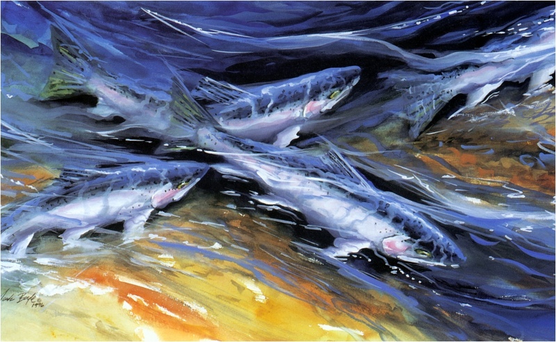 [Elon Animal Scans] Painted by Mark Boyle, Shimmering Steelhead; DISPLAY FULL IMAGE.