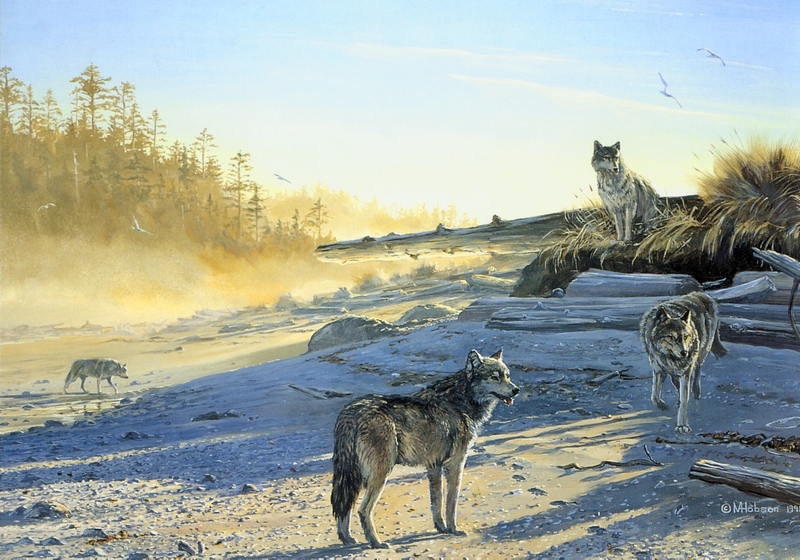 [Elon Animal Scans] Painted by Mark Hobson, Morning Shadows (Wolves); DISPLAY FULL IMAGE.
