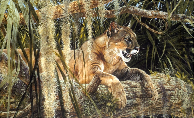 [Elon Animal Scans] Painted by Matthew Hillier, Creature Comforts (Cougar); DISPLAY FULL IMAGE.