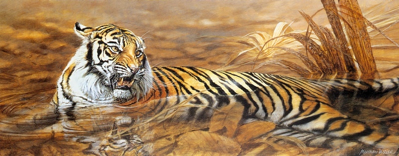 [Elon Animal Scans] Painted by Matthew Hillier, Reclining Tiger; DISPLAY FULL IMAGE.