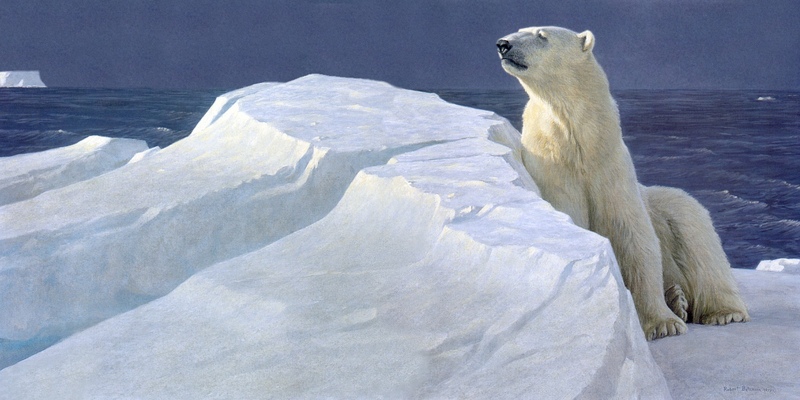 [Elon Animal Scans] Painted by Robert Bateman, Long Light, Polar Bear; DISPLAY FULL IMAGE.