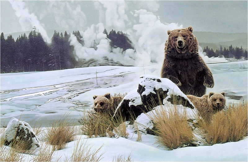 [Elon Animal Scans] Painted by Rod Frederick, Geyser Basin (Bears); DISPLAY FULL IMAGE.