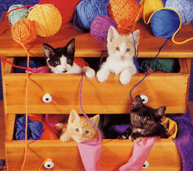 [GrayCreek Scans - 2002 Calendar] Curious Cats; DISPLAY FULL IMAGE.