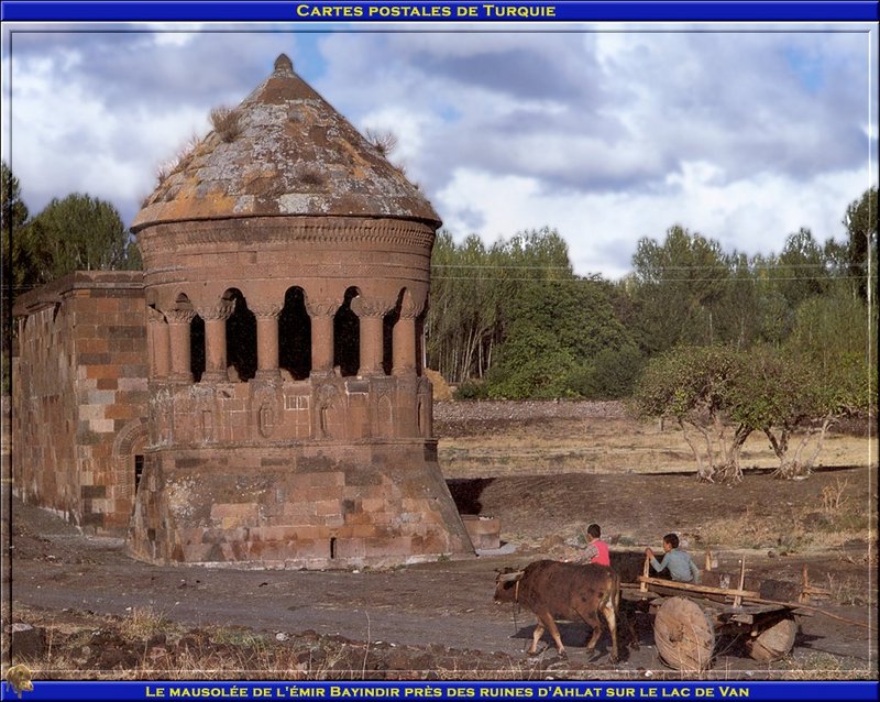 [PO scan - Postcard of Turkey] Cow Cart; DISPLAY FULL IMAGE.