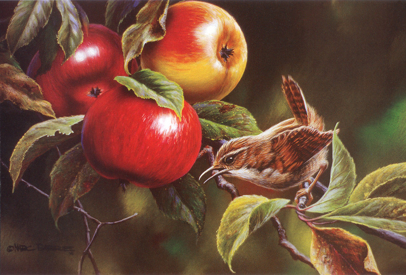 [FlowerChild scans - Wildlife-Birds] Painted by Marc Barrie, Chatter Bug; DISPLAY FULL IMAGE.