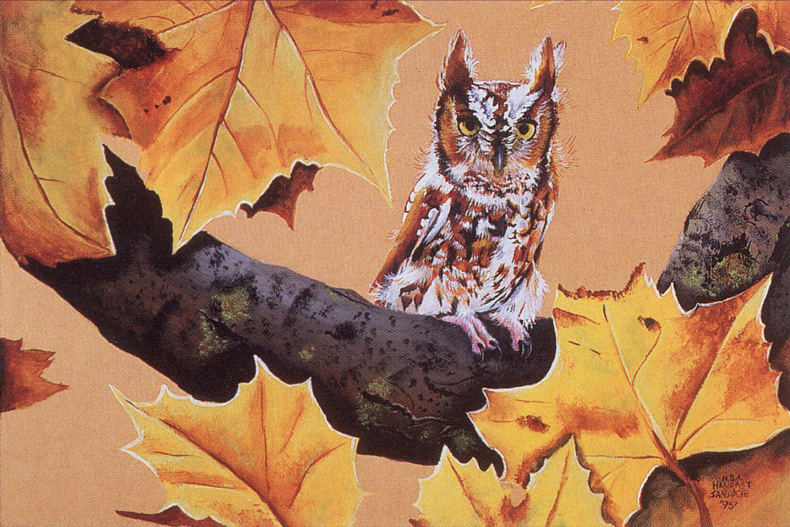 [FlowerChild scans - Wildlife-Birds] Painted by Beatrice Hanradt-Sansocie, Autumn's Gold (Long-eared Owl); DISPLAY FULL IMAGE.