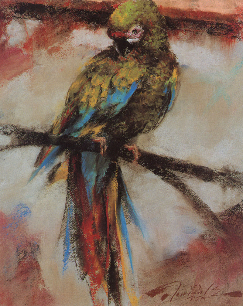 [FlowerChild scans - Wildlife-Birds] Painted by Ramon Kelley, Looking Pretty-Parrot; DISPLAY FULL IMAGE.