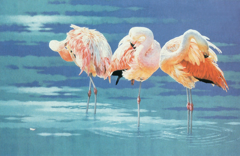 [FlowerChild scans - Wildlife-Birds] Painted by Sadao Naito, The Breeze (Flamingo); DISPLAY FULL IMAGE.