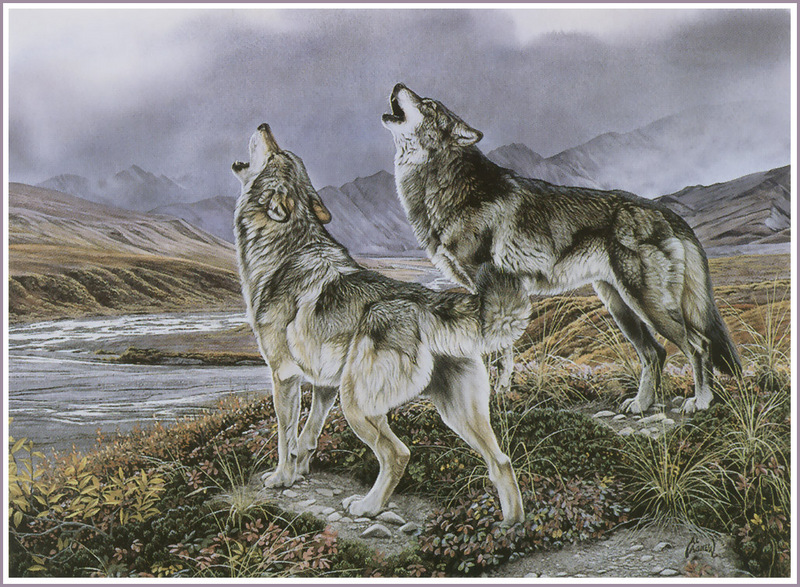[FlowerChild scans] Painted by Al Agnew (Wolves); DISPLAY FULL IMAGE.