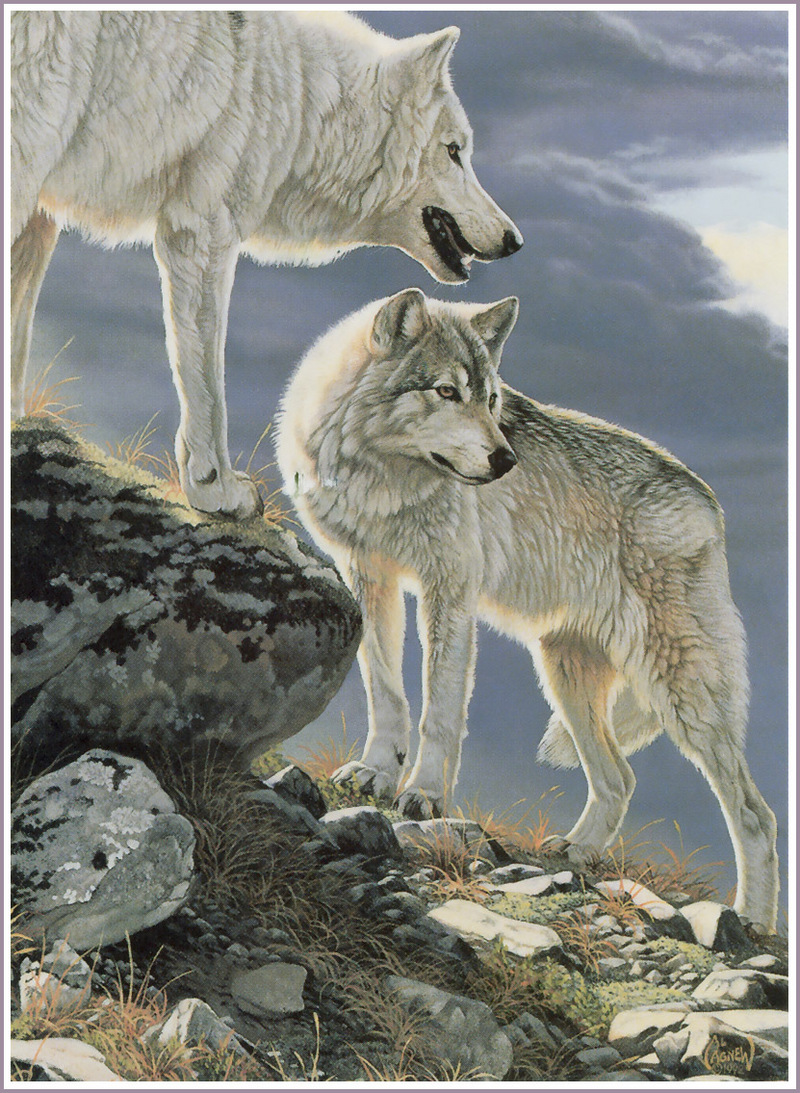 [FlowerChild scans] Painted by Al Agnew (Wolves); DISPLAY FULL IMAGE.