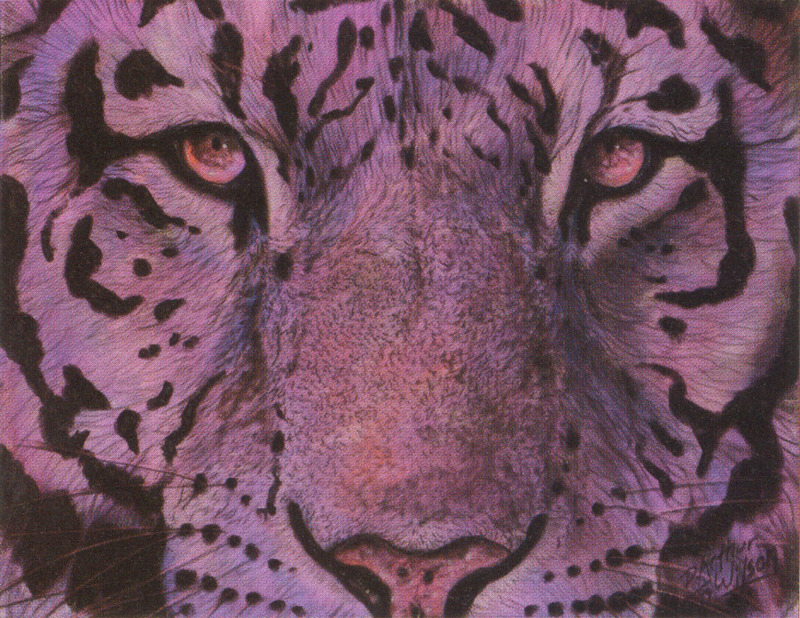 [FlowerChild scans] Painted by Arthur Wilson, Emotion (Big Cat's eyes); DISPLAY FULL IMAGE.