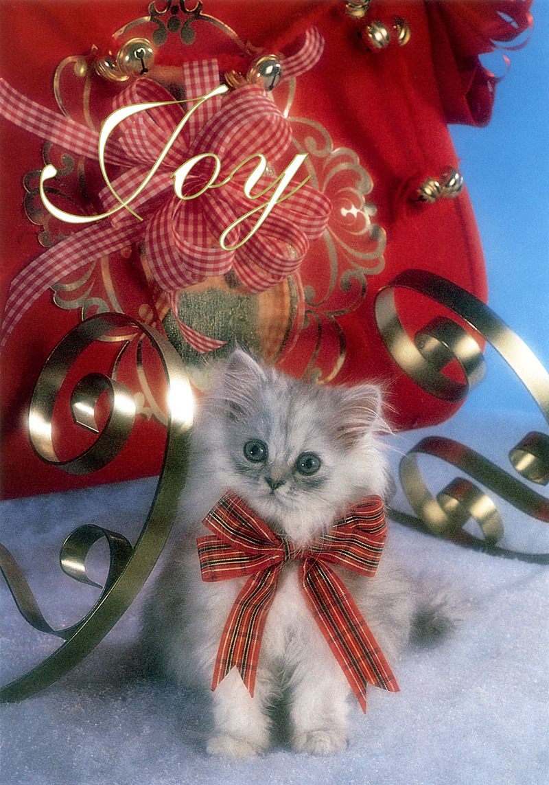 [FlowerChild scans] Christmas Card - Kitten; DISPLAY FULL IMAGE.