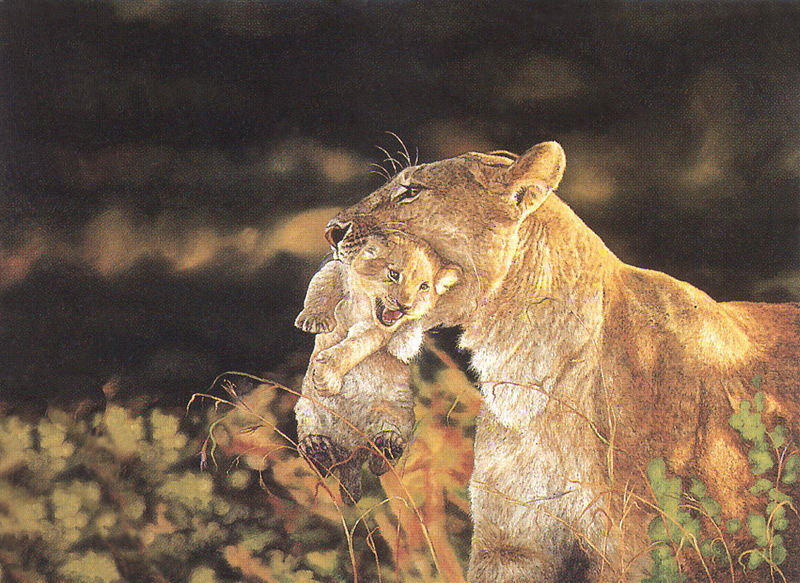 [FlowerChild scans] Painted by David Hadaway, Mother's Pride (Lions); DISPLAY FULL IMAGE.