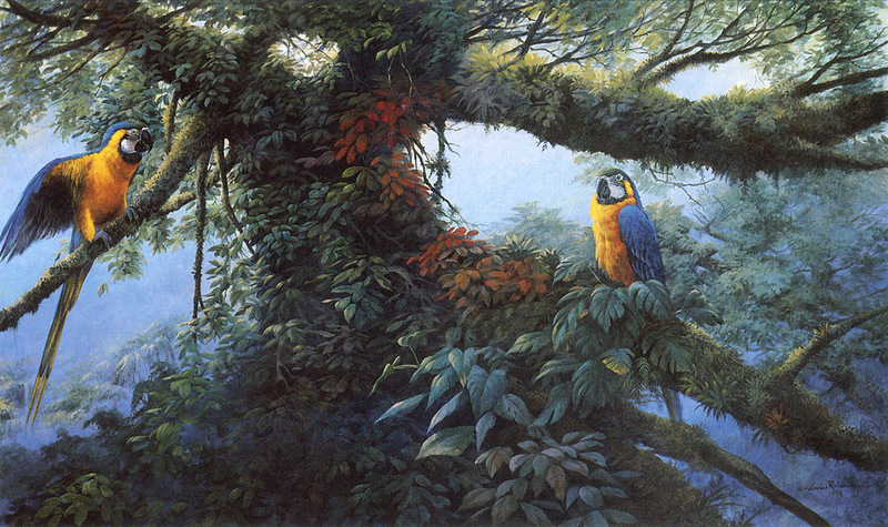 [FlowerChild scans] Painted by Gamini Ratnavira, Spirits of the Canopy (Blue-and-gold Macaws); DISPLAY FULL IMAGE.