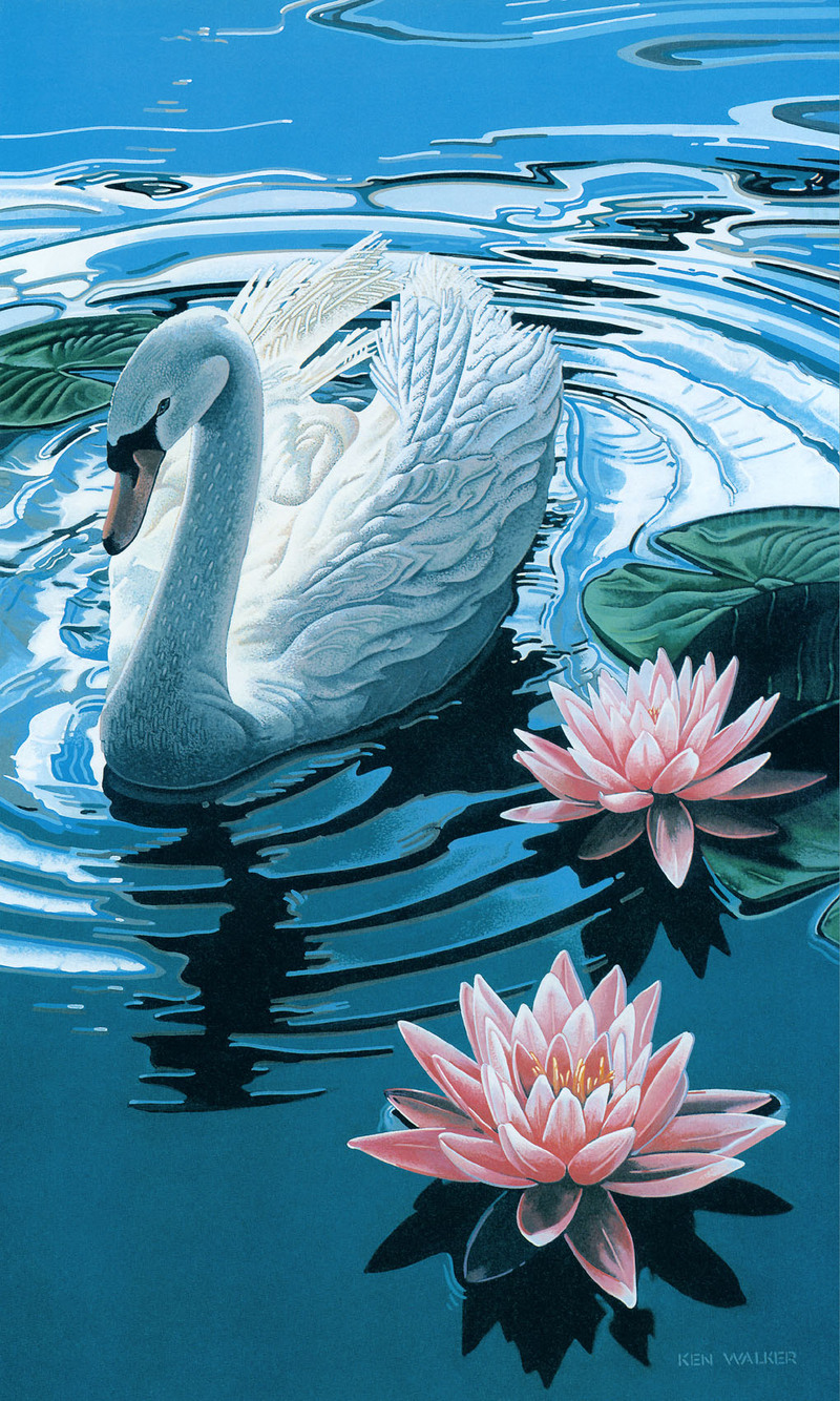 [FlowerChild scans] Painted by Ken Walker, Swan; DISPLAY FULL IMAGE.