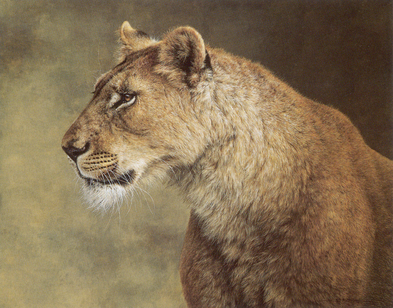 [FlowerChild scans] Painted by Jorge Mayol, Portrait of a Lioness; DISPLAY FULL IMAGE.