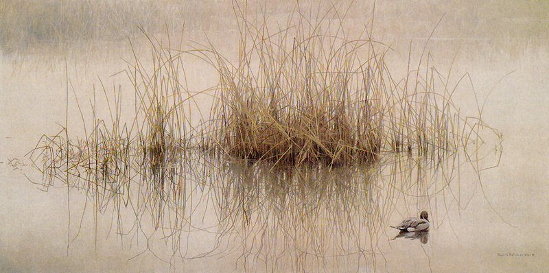 [FlowerChild scans] Painted by Robert Bateman, Reeds and Pintail; DISPLAY FULL IMAGE.