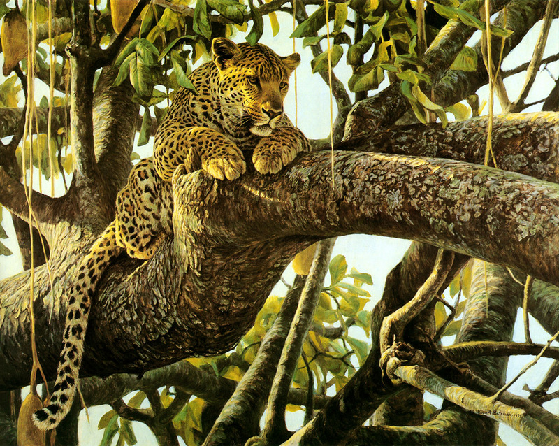 [FlowerChild scans] Painted by Robert Bateman, Leopard in a Sausage Tree; DISPLAY FULL IMAGE.