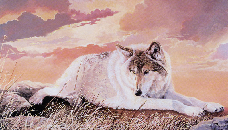 [FlowerChild scans] Painted by Trudy Estes, Sun Wolf - Earth Bound; DISPLAY FULL IMAGE.