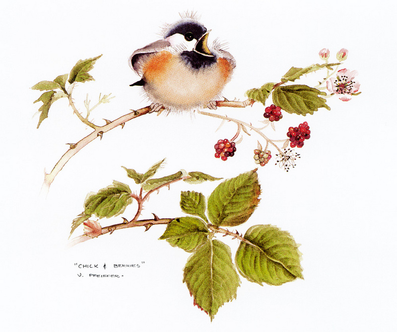 [FlowerChild scans] Painted by Valerie Pheiffer, Chick and Berries; DISPLAY FULL IMAGE.