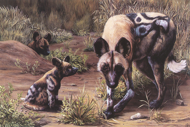 [FlowerChild scans] Painted by Shannon Johnson, African Wild Dogs; DISPLAY FULL IMAGE.