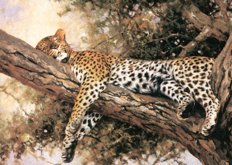[FlowerChild scans] (Big Cats) Painted by Eric Forlee, Siesta; DISPLAY FULL IMAGE.