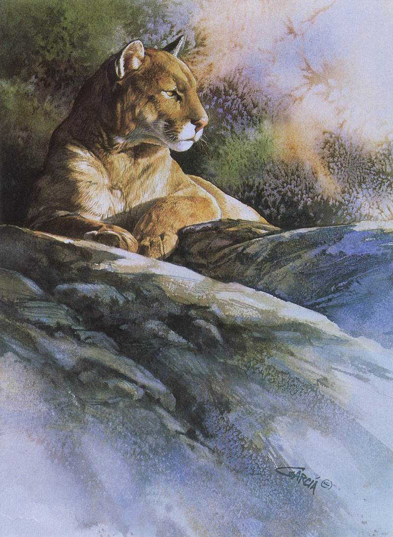 [FlowerChild scans] (Big Cats) Painted by Joe Garcia, Waiting; DISPLAY FULL IMAGE.